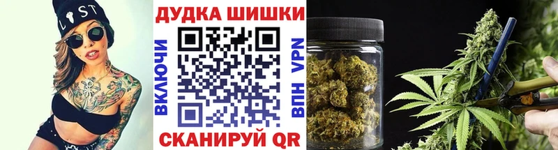 где продают   Нестеров  Канабис гибрид 